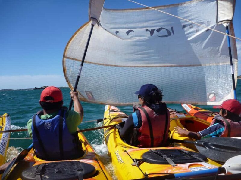 From Perth: Rockingham Seal & Penguin Islands Sea Kayak Tour - FAQ