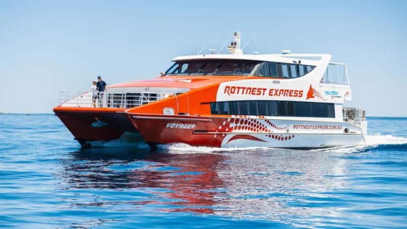 From Perth: Rottnest Island Ferry & Bus Day Tour - The Cost: Is It Worth It?