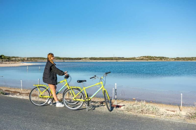 From Perth: Rottnest Island Full-Day Bike and Ferry Trip - Introduction