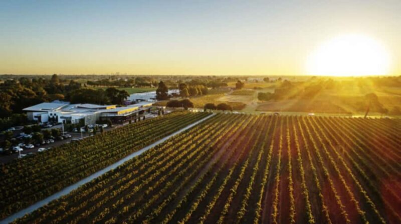 From Perth: Swan Valley Cruise, Winery, Cheese & Lunch - Practical Tips for Travelers