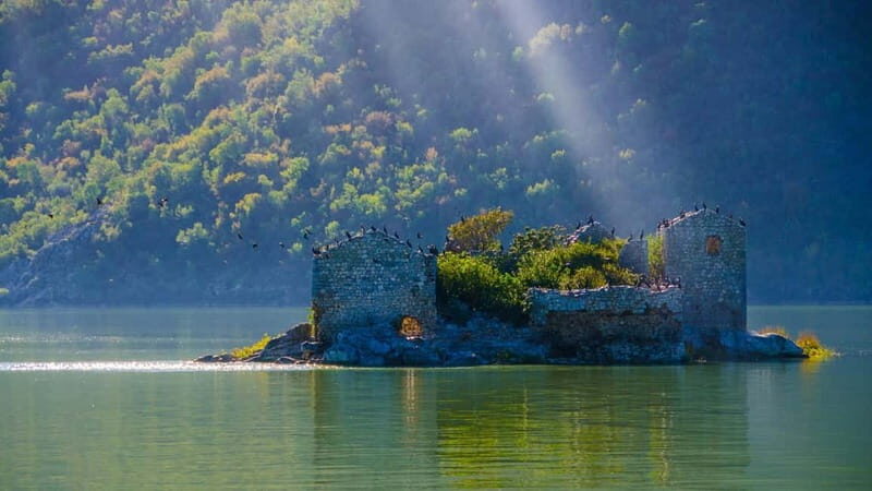 From Petrovac or Budva: Skadar Lake Cruise with Lunch - A Deep Dive into the Skadar Lake Experience