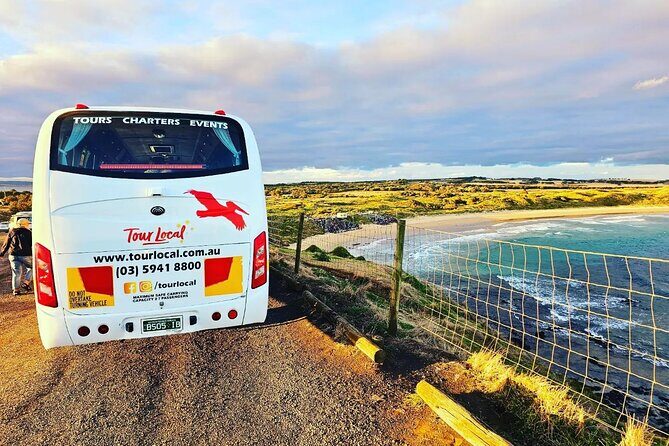 From Phillip Island: Wine and Wildlife Tour with Penguin Parade - Key Points