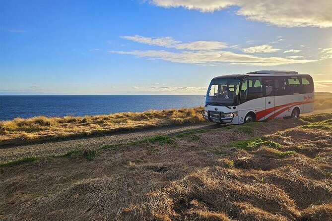 From Phillip Island: Wine and Wildlife Tour with Penguin Parade - Who Will Love This Tour?