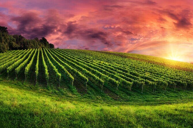 From Phoenix Private Vortex to Vineyard Tour - Authentic Feedback and Practical Considerations