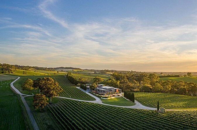 From Phoenix Private Vortex to Vineyard Tour - The Sum Up: Is It Worth It?