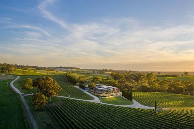 From Phoenix: Vortex to Vineyard Private Tour - From Phoenix: Vortex to Vineyard Private Tour — A Detailed Look