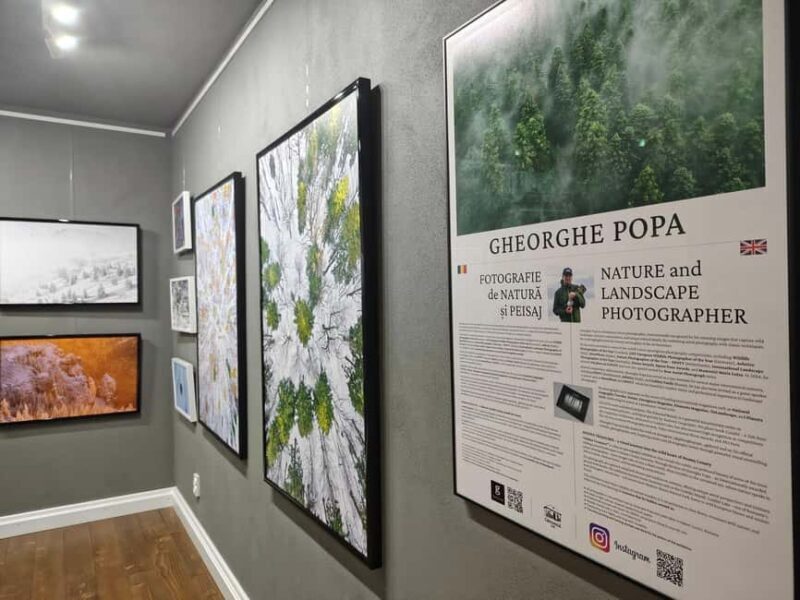 From Piatra Neam: Neam Citadel and Târgu Neam Guided Tour - FAQ