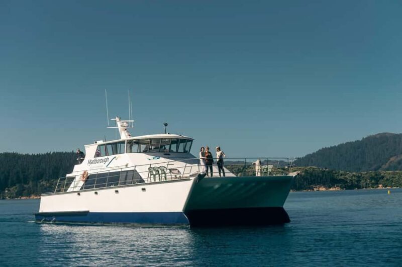 From Picton: Marlborough Sounds Cruise with Seafood - Key Points