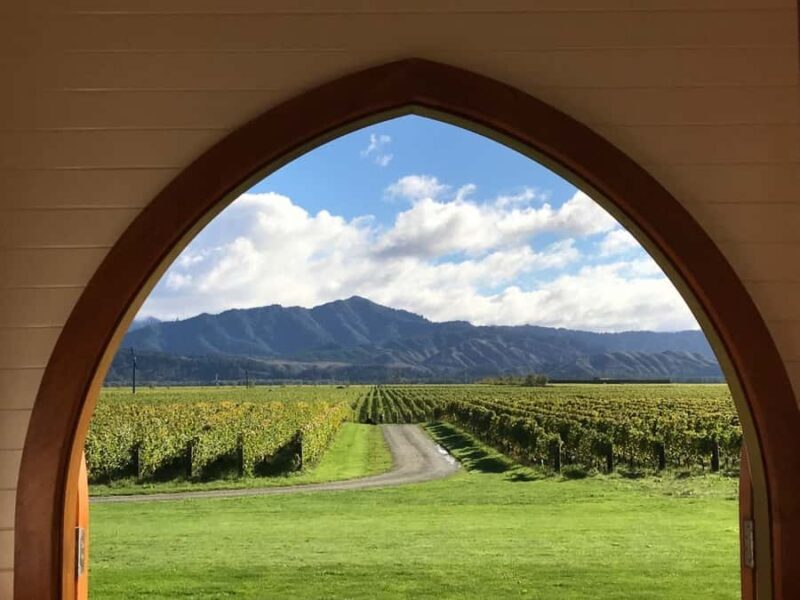 From Picton: Private Wine and Gourmet Tour of Marlborough - An In-Depth Look at the Experience