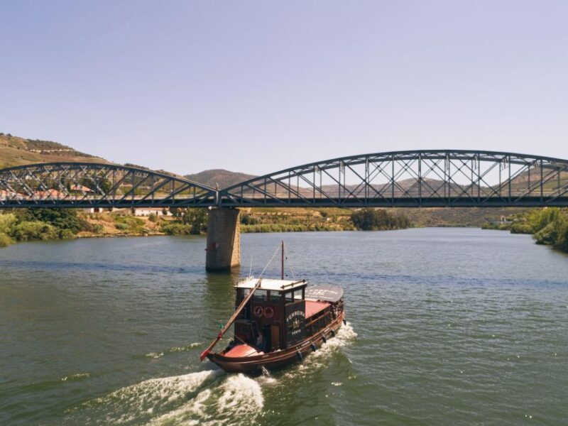 From Pinhão: Douro Valley Rabelo Boat Tour with Audio Guide - The Experience of the Douro Valley by Boat