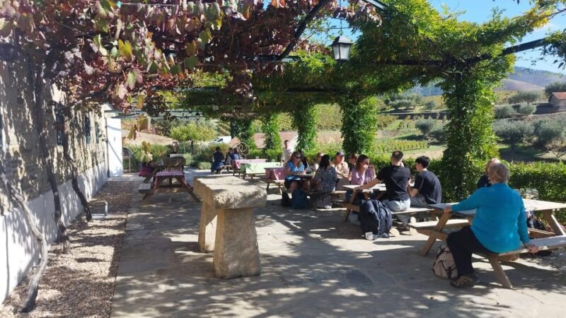 From Pinhão: Douro Valley Tour w/ Wine Tasting and Boat Trip - Who Would Enjoy This Tour?