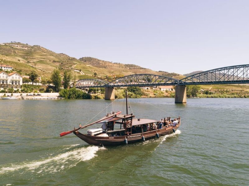 From Pinhão: Private Rabelo Boat Douro Tour with Port Wine - Introduction: A Scenic Journey Through Portugal’s Iconic Valley
