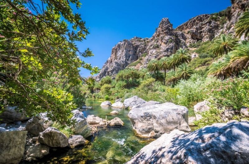 From Plakias: Beach Safari to Ammoudi and Preveli - Potential Drawbacks and Considerations
