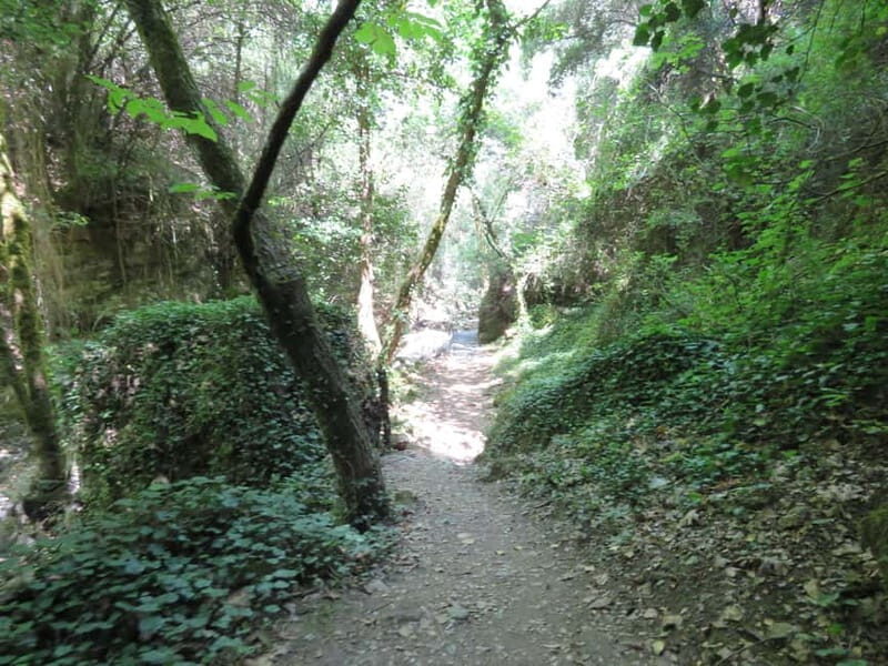 From Platanias: Guided Mountain Half day Trip with snack! - Key Points