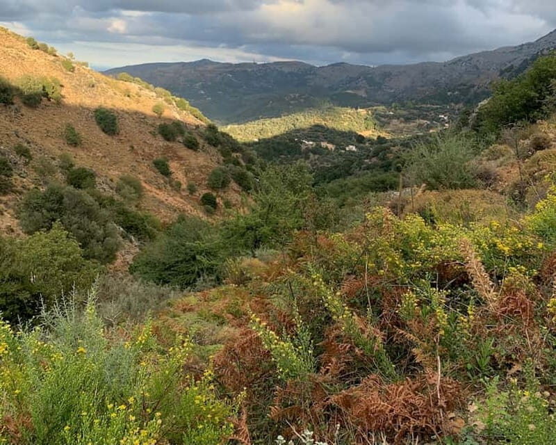 From Platanias: Guided Mountain Half day Trip with snack! - Final Thoughts