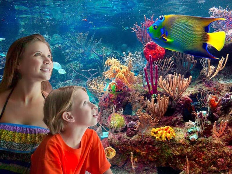 From Playa del Carmen: Complete Combo to Xcaret Park! - What You Can Expect at Xcaret Park