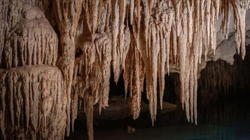 From Playa del Carmen or Tulum: Rio Sagrado Experience - Key Points