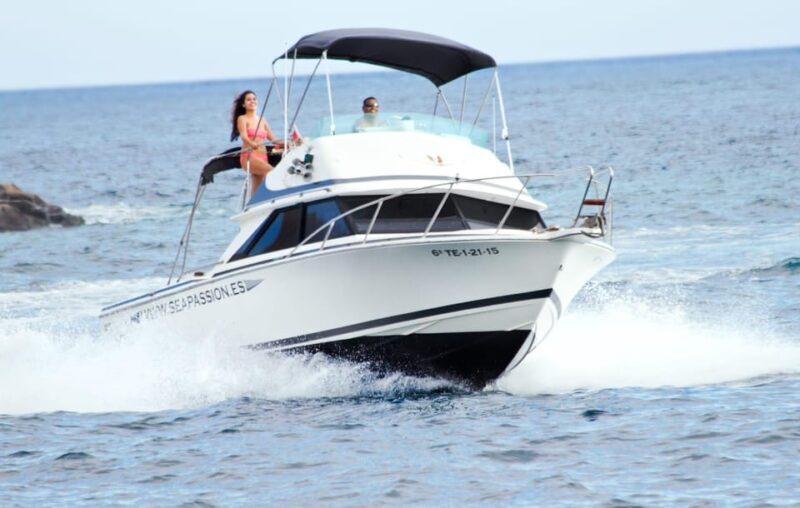 From Playa San Juan: Whale Watching, Gigantes, and Masca Bay - The Sum Up