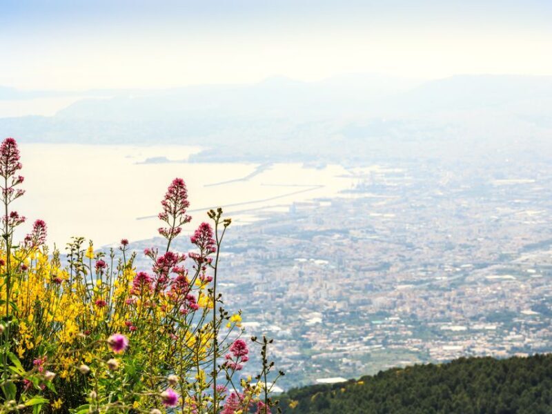 From Pompeii: Bus Transfer to Vesuvius with Park Entry Fee - Frequently Asked Questions