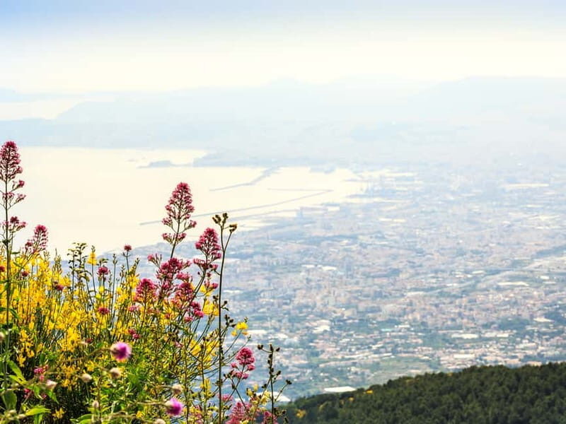 From Pompeii: Mount Vesuvius Hike & Tour by Bus - The Experience: An In-Depth Look at the Tour