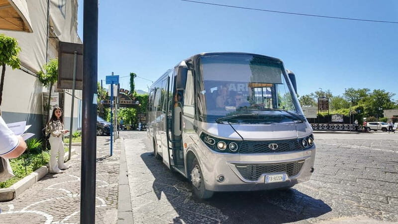 From Pompeii: Mount Vesuvius with bus, ticket and audioguide - A Deep Dive Into the Vesuvius Experience