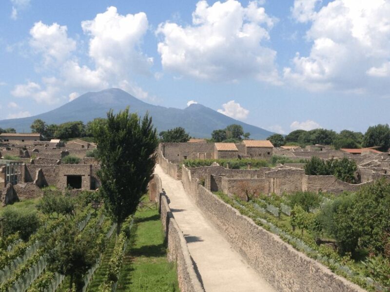 From Pompeii: Walking Tour with Guide in the Excavations - FAQ