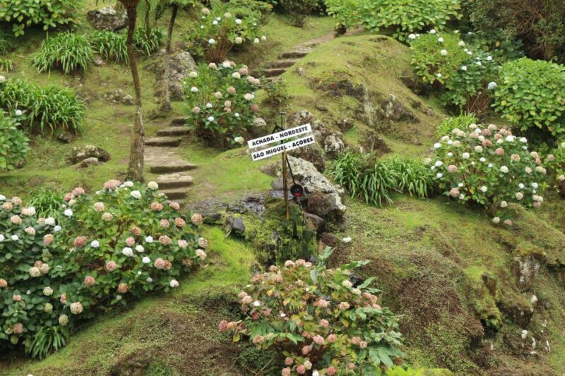 From Ponta Delgada: Nordeste 4x4 Guided Day Trip & Lunch - Who Is This Tour Best For?