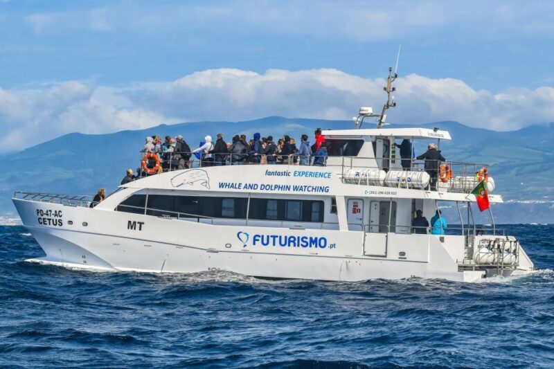 From Ponta Delgada: Whale and Dolphin Watching Trip - FAQs