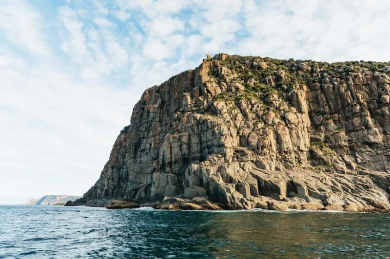 From Port Arthur: Tasman Island Wilderness Cruise - Why You’ll Love the Tasman Island Wilderness Cruise