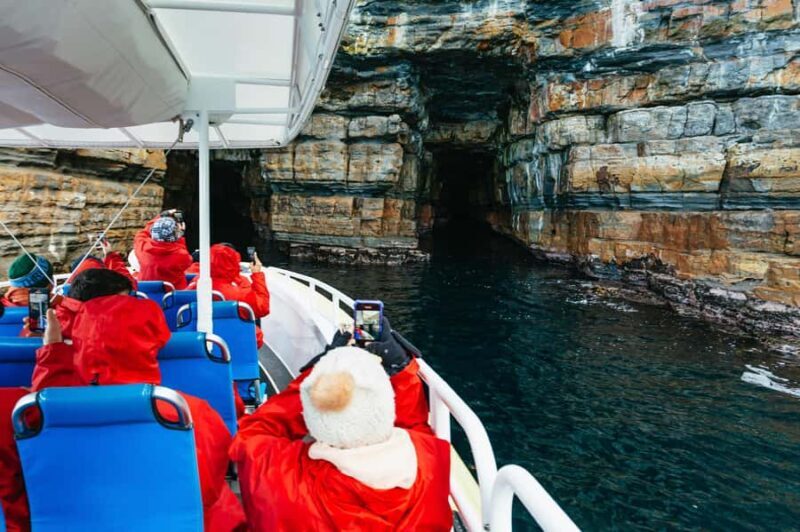 From Port Arthur: Tasman Island Wilderness Cruise - The Practical Side — What to Bring and Know