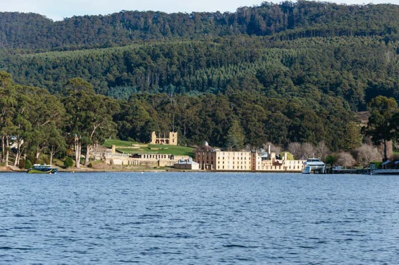 From Port Arthur: Tasman Island Wilderness Cruise - Authentic Experiences Shared by Travelers