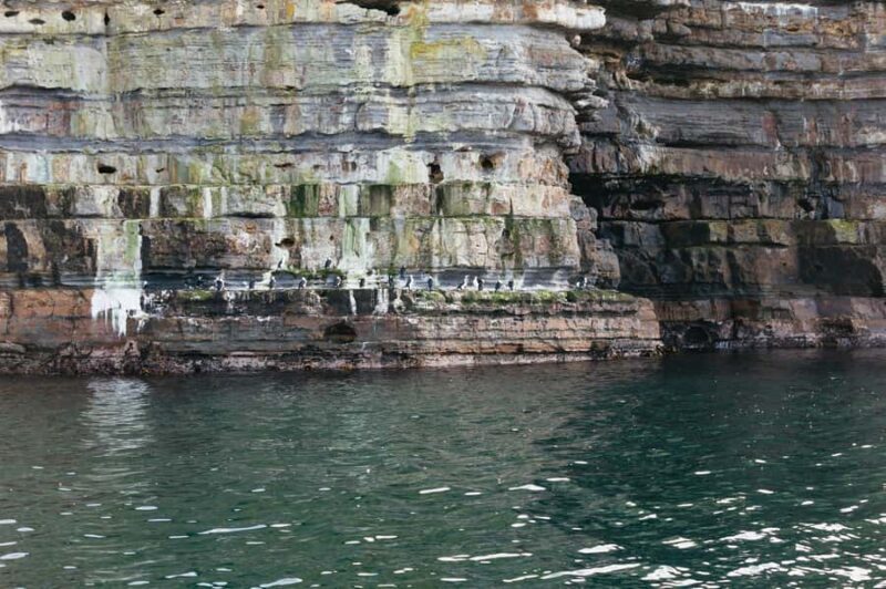 From Port Arthur: Tasman Island Wilderness Cruise - Frequently Asked Questions