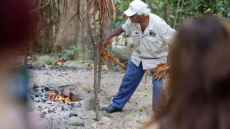 From Port Douglas: Daintree Rainforest & Mossman Gorge Tour - Key Points