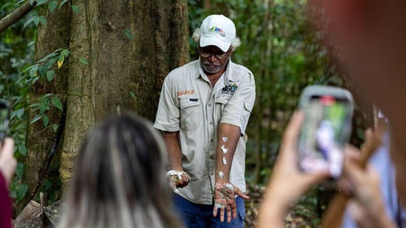 From Port Douglas: Daintree Rainforest & Mossman Gorge Tour - Starting Point and Pickup Logistics