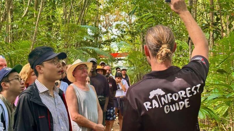 From Port Douglas: Daintree Rainforest & Mossman Gorge Tour - Daintree River Wildlife Cruise: Glimpses of Crocodiles and More