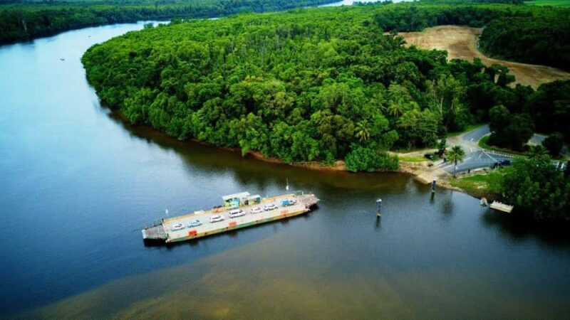 From Port Douglas: Daintree Rainforest & Mossman Gorge Tour - Scenic Lunch in the Rainforest