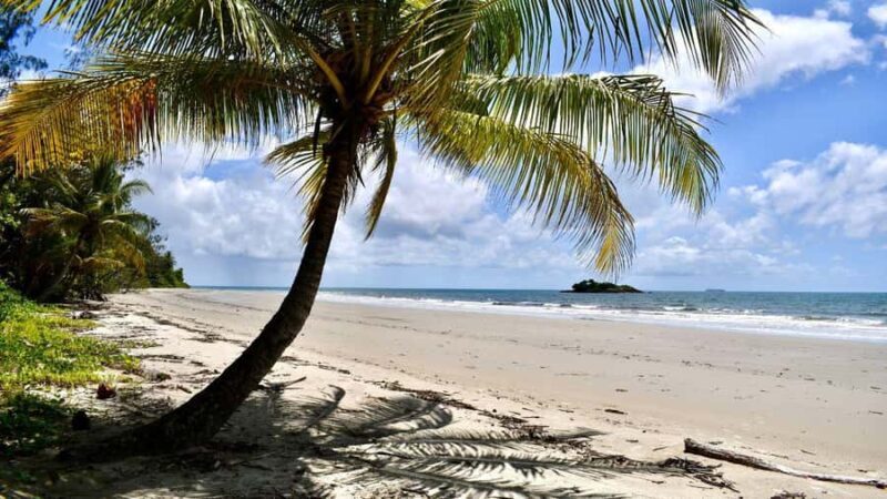 From Port Douglas: Daintree Rainforest & Mossman Gorge Tour - Daintree Ice Cream Co.: A Sweet Finish