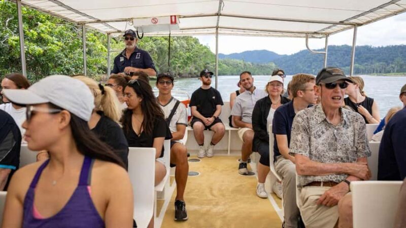 From Port Douglas: Daintree Rainforest & Mossman Gorge Tour - Return Journey