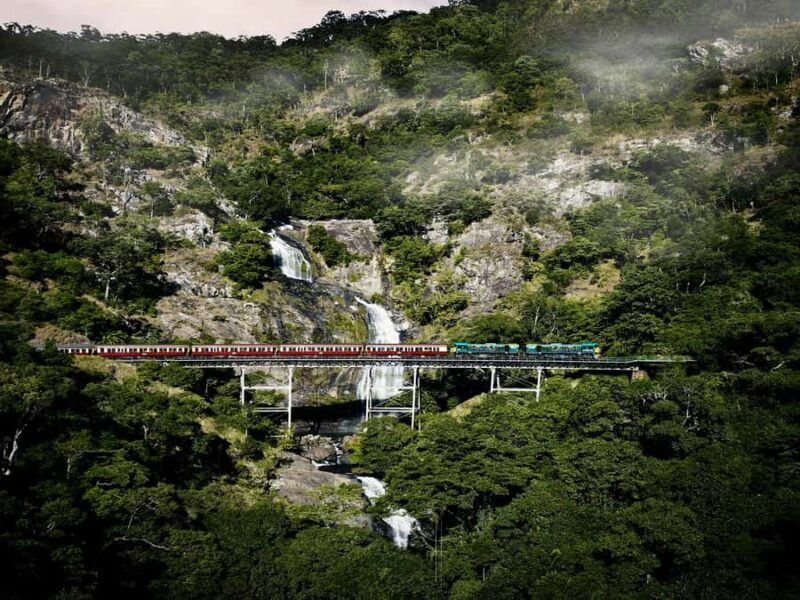 From Port Douglas: Kuranda Tour with Skyrail & Scenic Train - Authentic Experiences from the Reviews