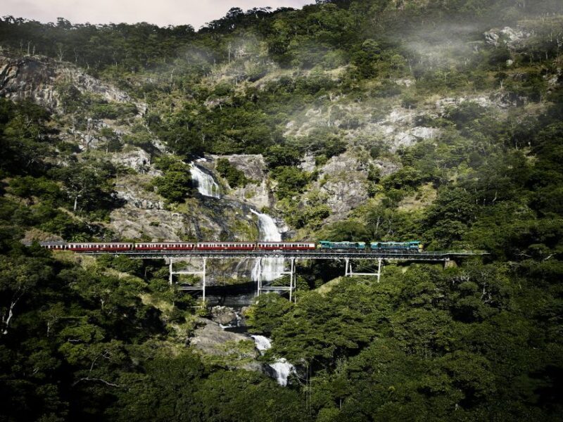 From Port Douglas: Kuranda Tour with Skyrail & Scenic Train - Who This Tour Is Perfect For