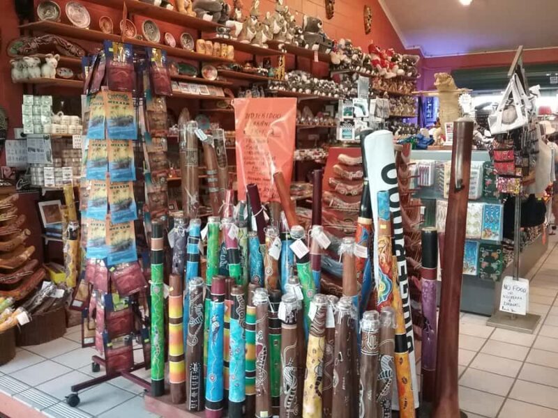 From Port Douglas: Kuranda Tour with Skyrail & Scenic Train - Final Thoughts