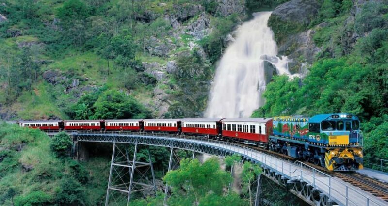 From Port Douglas: Kuranda via Scenic Rail or Skyrail Option - A Closer Look at the Tour Experience