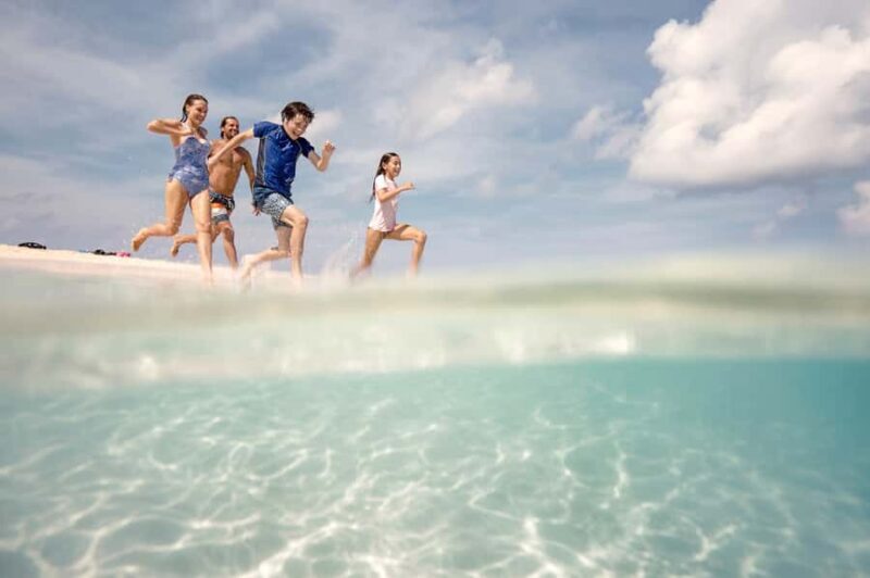 From Port Douglas: Outer Reef Cruise by Luxury Catamaran - An Overview of the Adventure