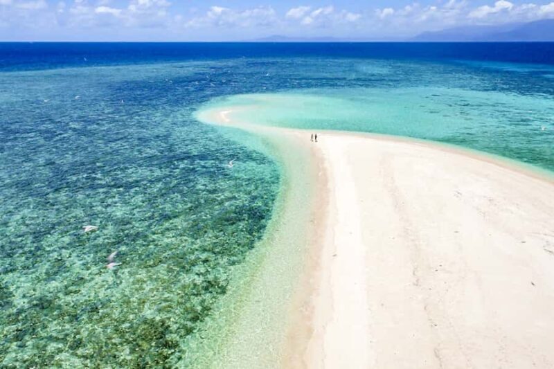 From Port Douglas: Outer Reef Cruise by Luxury Catamaran - FAQs