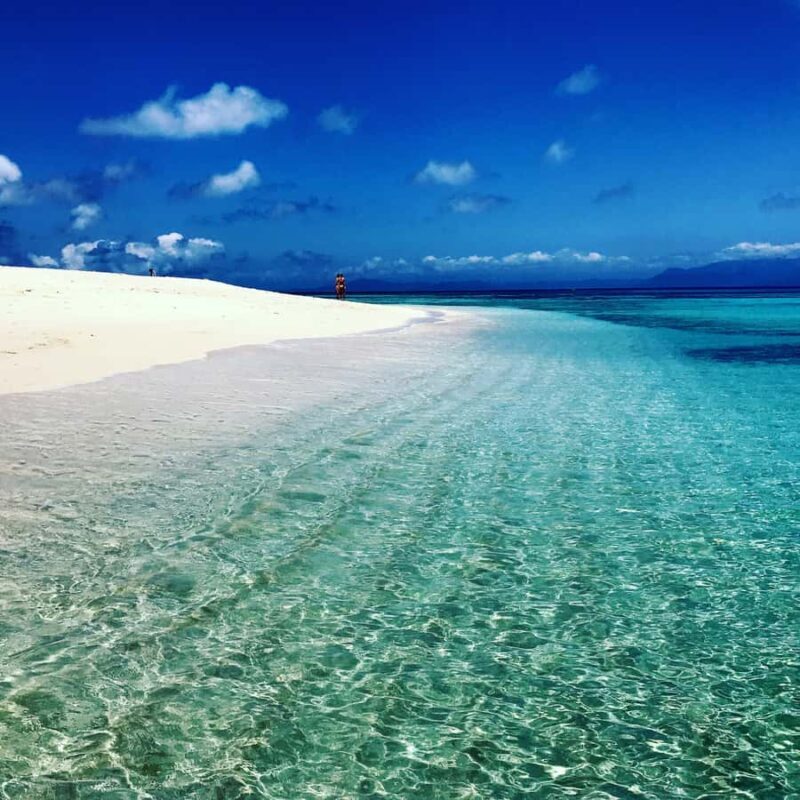 From Port Douglas: Outer Reef Cruise by Luxury Catamaran - Final Words