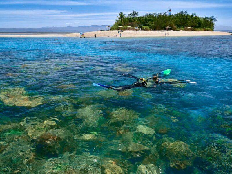 From Port Douglas: Sail to Low Isles Great Barrier Reef - Authentic Experiences and Authenticity