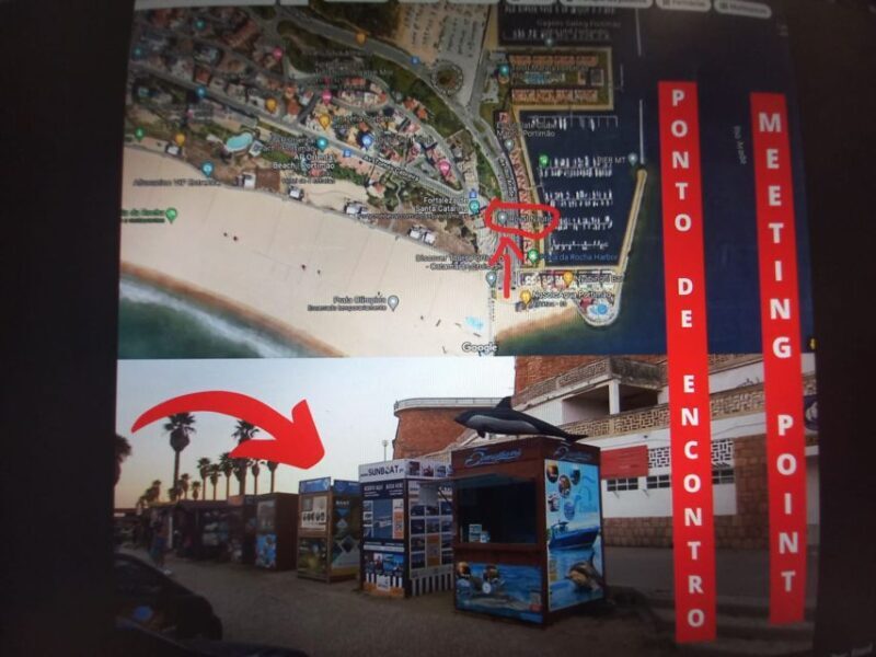 From Portimão: Algar de Benagil and Sea Caves Boat Tour - Key Points