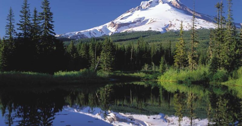 From Portland: Columbia Gorge Waterfalls and Mt. Hood Tour - An In-Depth Look at the Tour Experience