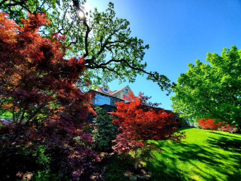 From Portland: Full Day Gorge Waterfalls & Mt. Hood Tour - Key Points