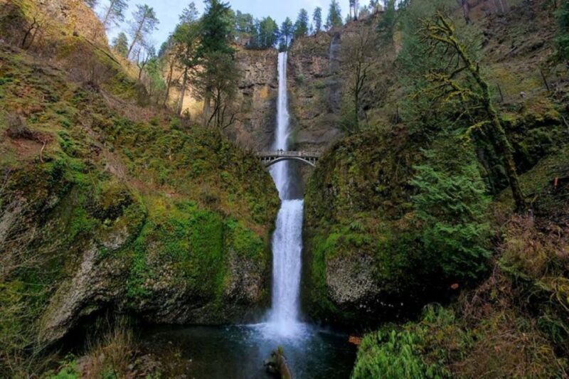 From Portland: Half-Day Columbia River Gorge Waterfalls Tour - A Closer Look at the Itinerary and Highlights